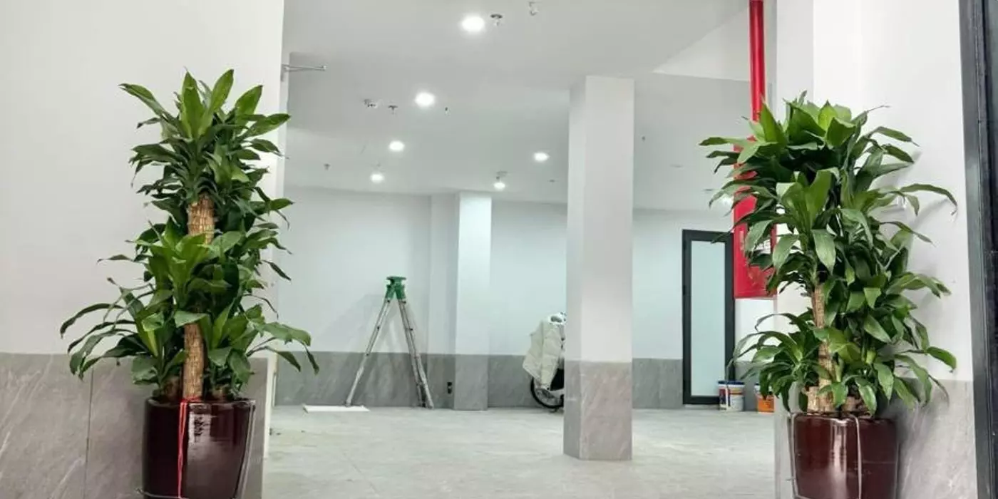 🏡 BÁN TÒA APARTMENT VƯƠNG THỪA VŨ - THANH XUÂN - 95M2 - 7 TẦNG TM - MT 8.4M - DÒNG TIỀN 1.5