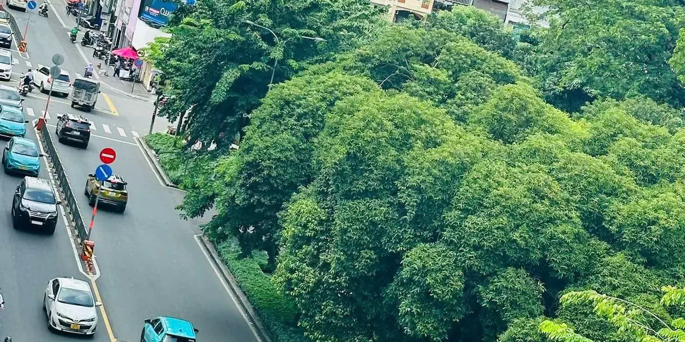 Bán nhà Mặt tiền Hai Bà Trưng - giao Võ Thị Sáu, 4x26m, 4 Tầng - 8PN, HĐT 100tr, 68 Tỷ.