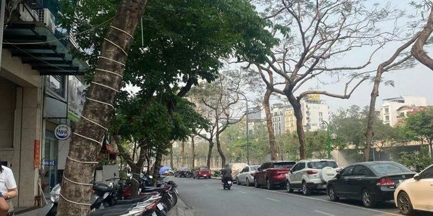 CẦU GIẤY – LÔ ĐẤT 230M² MẶT TIỀN 15M – HÀNG HIẾM “KHÔNG CÓ LẦN 2” – GIÁ CHẠM ĐÁY KHU VỰC