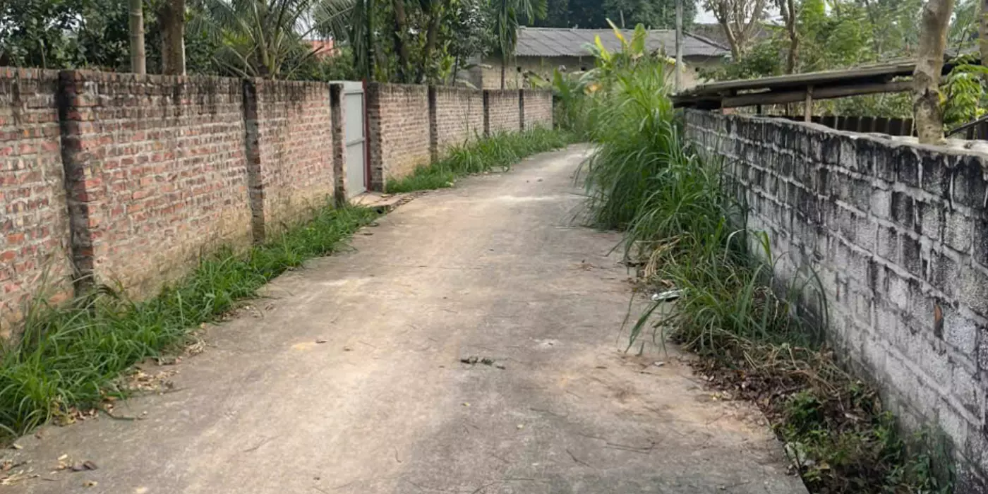 BÁN ĐẤT VƯỜN GIÁ RẺ – TIỀM NĂNG ĐẦU TƯ CAO TẠI TAM DƯƠNG