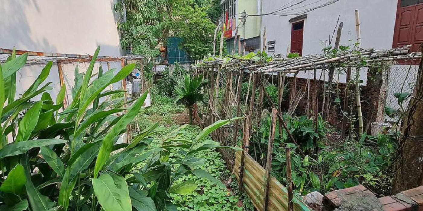 58m2 Thuận An Gia Lâm mt 4m ngõ rộng gần trục chính chỉ 3 tỷ 📞 0989894845