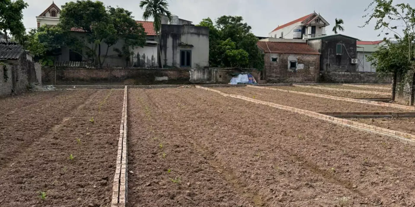 BÁN ĐẤT ĐỨC NHUẬN – KHOÁI CHÂU
GIÁ CHỈ NHỈNH 2 TỶ