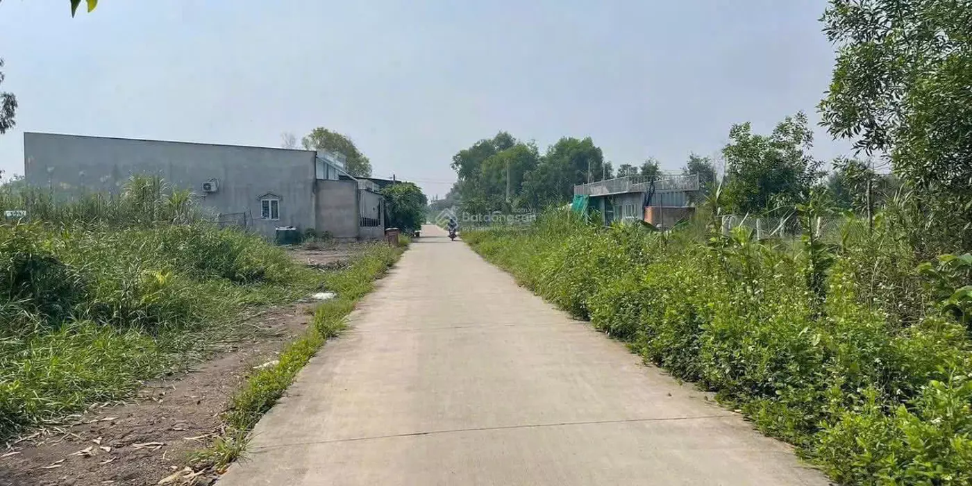 Bán Gấp 16.500m2 HXH Trần Văn Giàu Bình Chánh 175m x 95m Chỉ 59 Tỷ