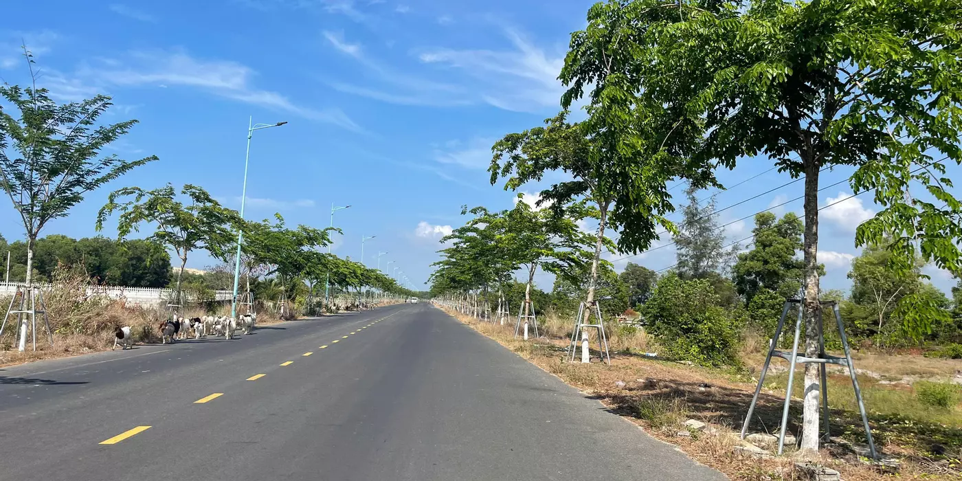 Bán 3011m2 đất ONT Mặt tiền Hùng Vương - Tân Tiến  LaGi giá rẻ 400tr/m ngang