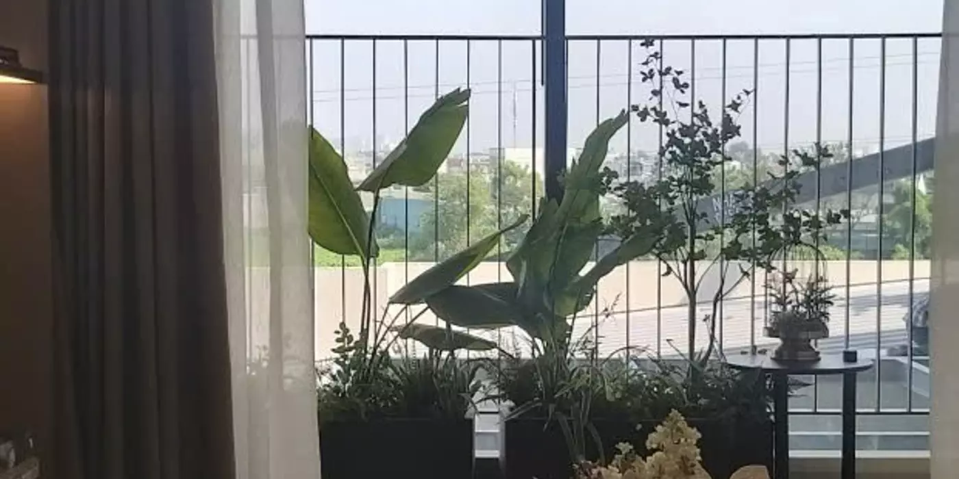 The Emerald Garden View giải pháp thực tế cho người trẻ chỉ với 9 triệu/tháng