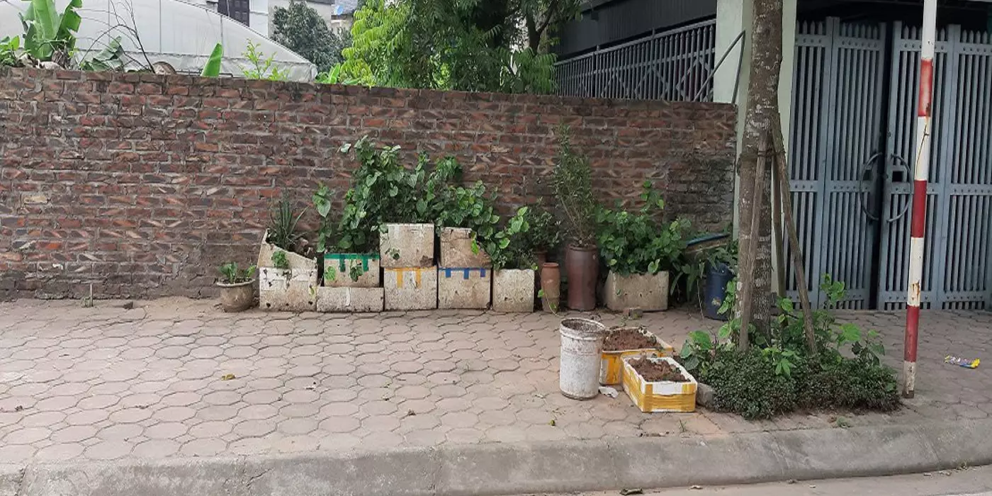 Bán đất đấu giá xã Thuận An, Hà Nội. Lô góc 115m2 đường 12m vỉa hè. Lh 0989894845