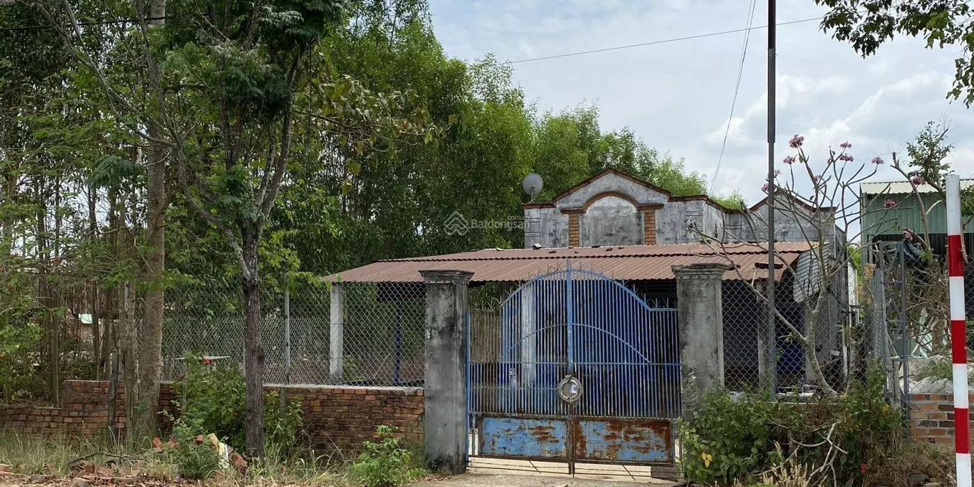 Đất mặt tiền đường trục chính trung tâm thành phố Phú Mỹ-1000m2  (nay là phường Tân Thành - TP Hồ