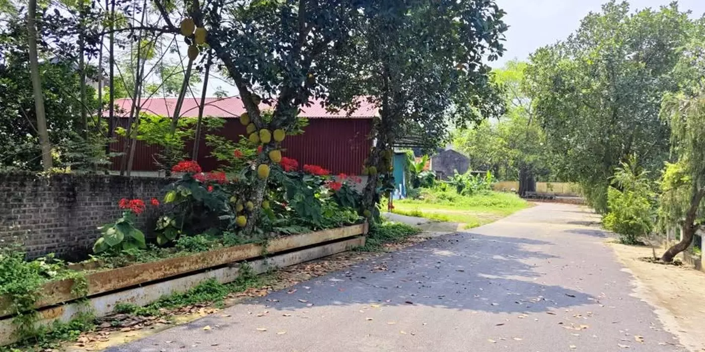Sốc lô đất 101m2 Phú Cát view Hồ, khu vực trung tâm Hòa Lạc. Phù hợp xây trọ, đầu tư sinh lời, kết