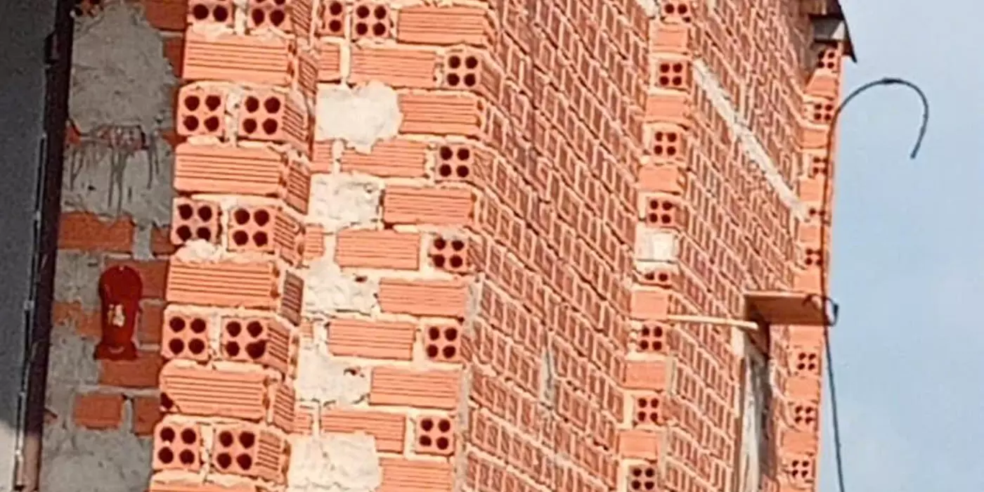 Bán gấp vườn sầu riêng 16 000m² 250 cây gần 1 năm tuổi cẩm mỹ đồng nai