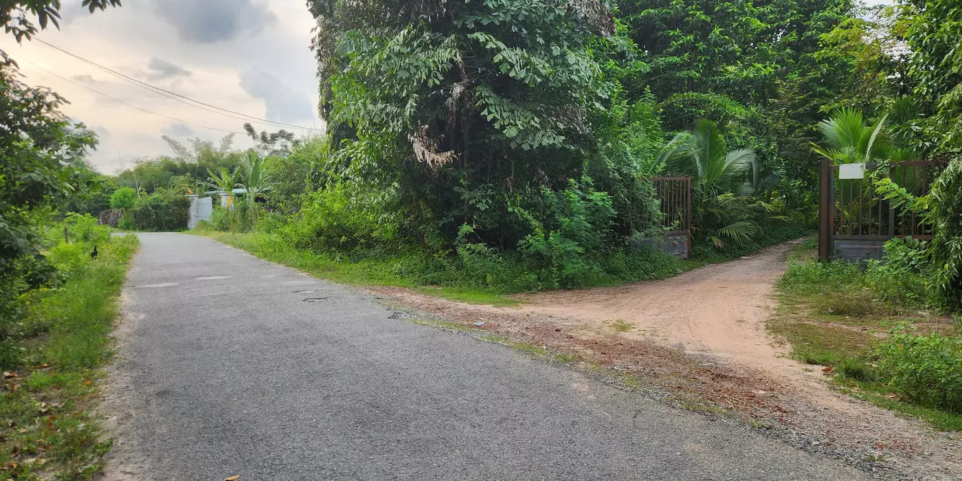 Cho thuê đất rộng 26.000m² tại xã Trung Lập Thượng, huyện Củ Chi