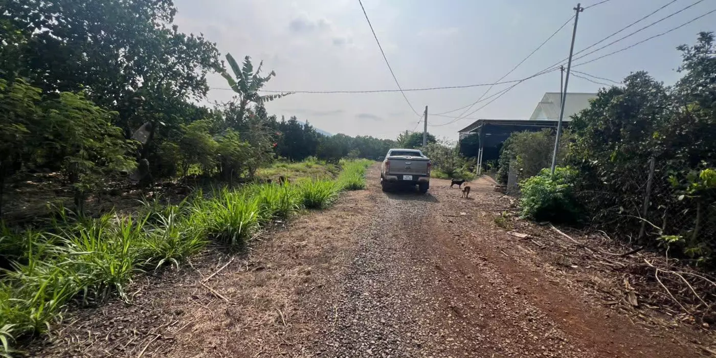 Bán vườn 3216m2, Xuân Phú, Xuân Lộc. Đồng Nai. Giá 1,8 ty. Lh 0984488048.