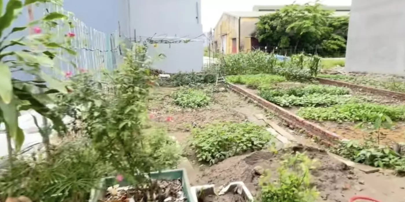 Bán lô đất 50m2 Bạch Mai An Hải Hải Phòng