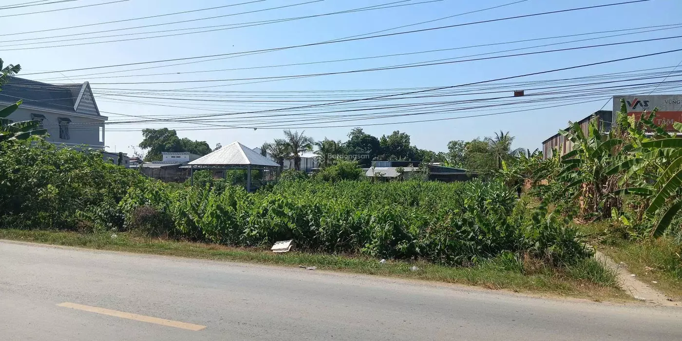 Bán Đất tại Quốc lộ 54, xã Lai Vung (xãTân Thành, Huyện Lai Vung) giá tốt chỉ với 4,1 tỷ