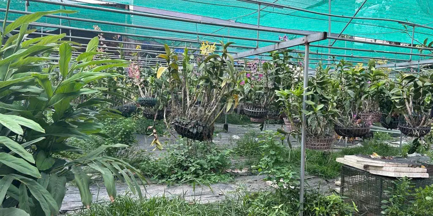 BÁN ĐẤT 2 MẶT TIỀN ĐƯỜNG DƯƠNG CÔNG KHI – DIỆN TÍCH LỚN – TIỀM NĂNG KHAI THÁC CAO