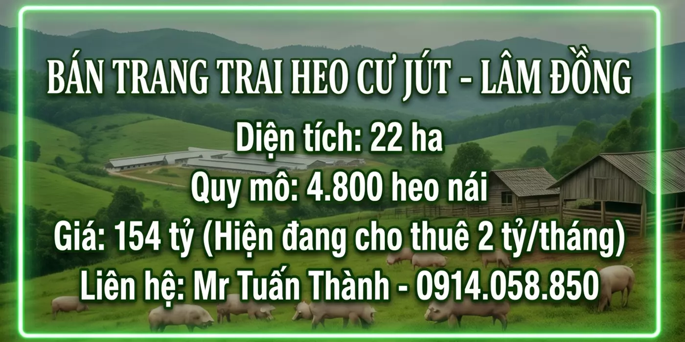 Siêu Trang Trại Heo 22ha - Thu Nhập cho thuê 24 Tỷ/Năm
