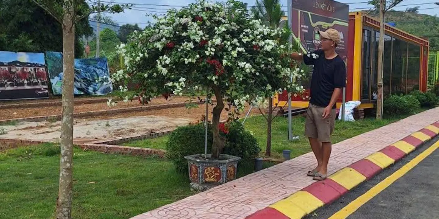Bán lô đất Phú Cát 100m2 full thổ cư, đường trục chính kinh doanh, giá chỉ 28tr.m2