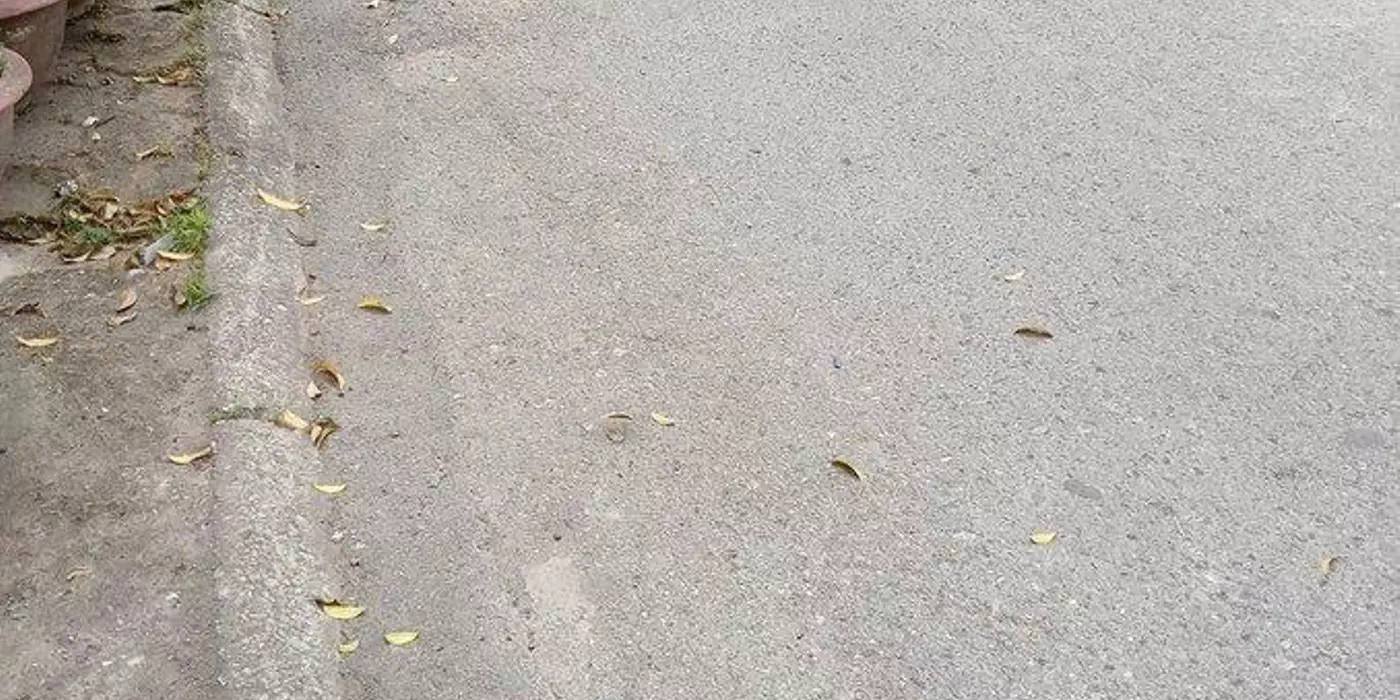 BÁN NHÀ MỚI-ĐẸP Ô TÔ ĐỖ CỬA -KINH DOANH 42m2 X 4 Tầng 8.2 Tỷ. Vũ Xuân Thiều-Long Biên.