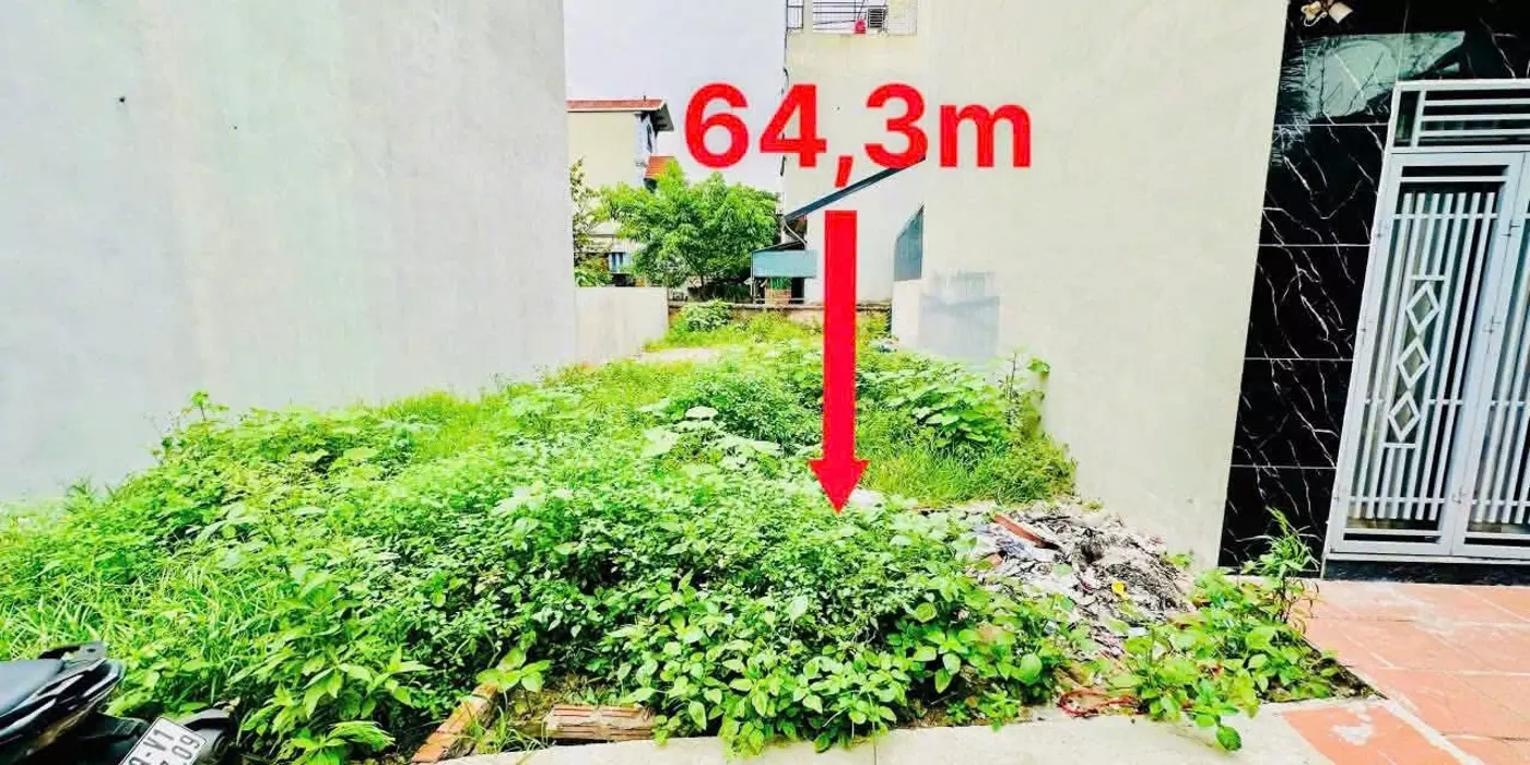BOMTẤN, Đã có quy hoạch xây Dựng thêm 3 trường Đại Học, Dự án khu du lịch Chùa Chầm 100 tỉ