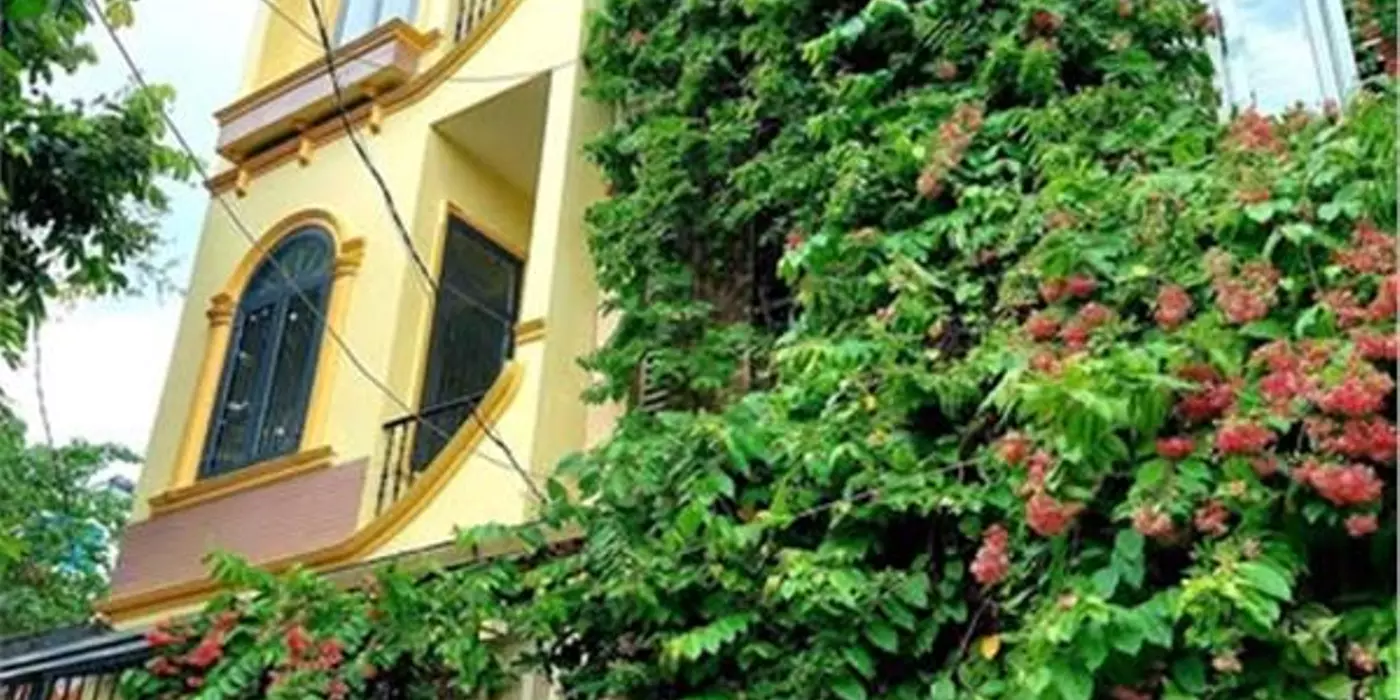 Nhà Đất Thánh Phường 6 Quận Tân Bình.