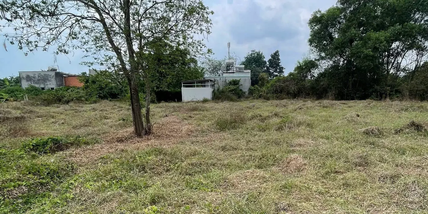 ĐẤT SẴN SỔ 490M² – GIÁ TỐT TẠI TÂN THÔNG HỘI, CỦ CHI – ĐƯỜNG XE HƠI THÔNG THOÁNG