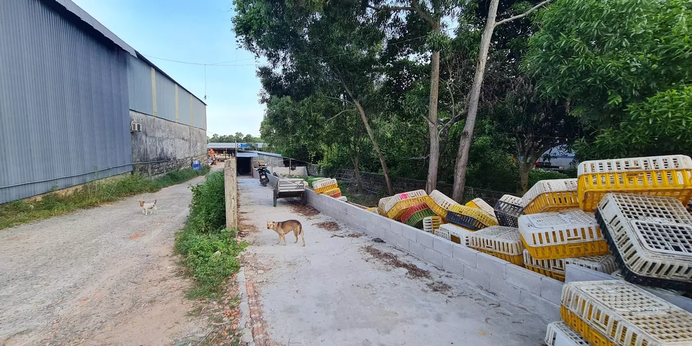 CHÍNH CHỦ CẦN BÁN 12.000M² ĐẤT TẠI ĐẶC KHU PHÚ QUỐC – ĐÓN SÓNG APEC 2027