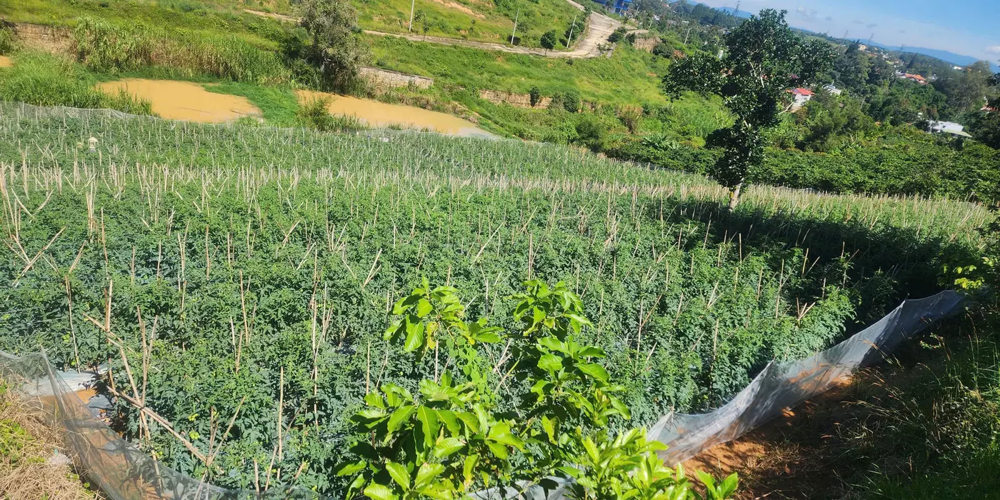 Cần Bán đất xã Ninh Gia, huyện Đức Trọng, tỉnh Lâm Đồng