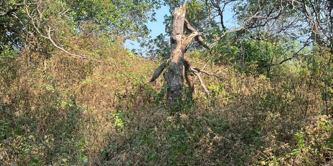 Bán 4.1 sào đất View Hồ Gia Măng, Xuân Hoà, Xuân Lộc giá ngộp sổ riêng