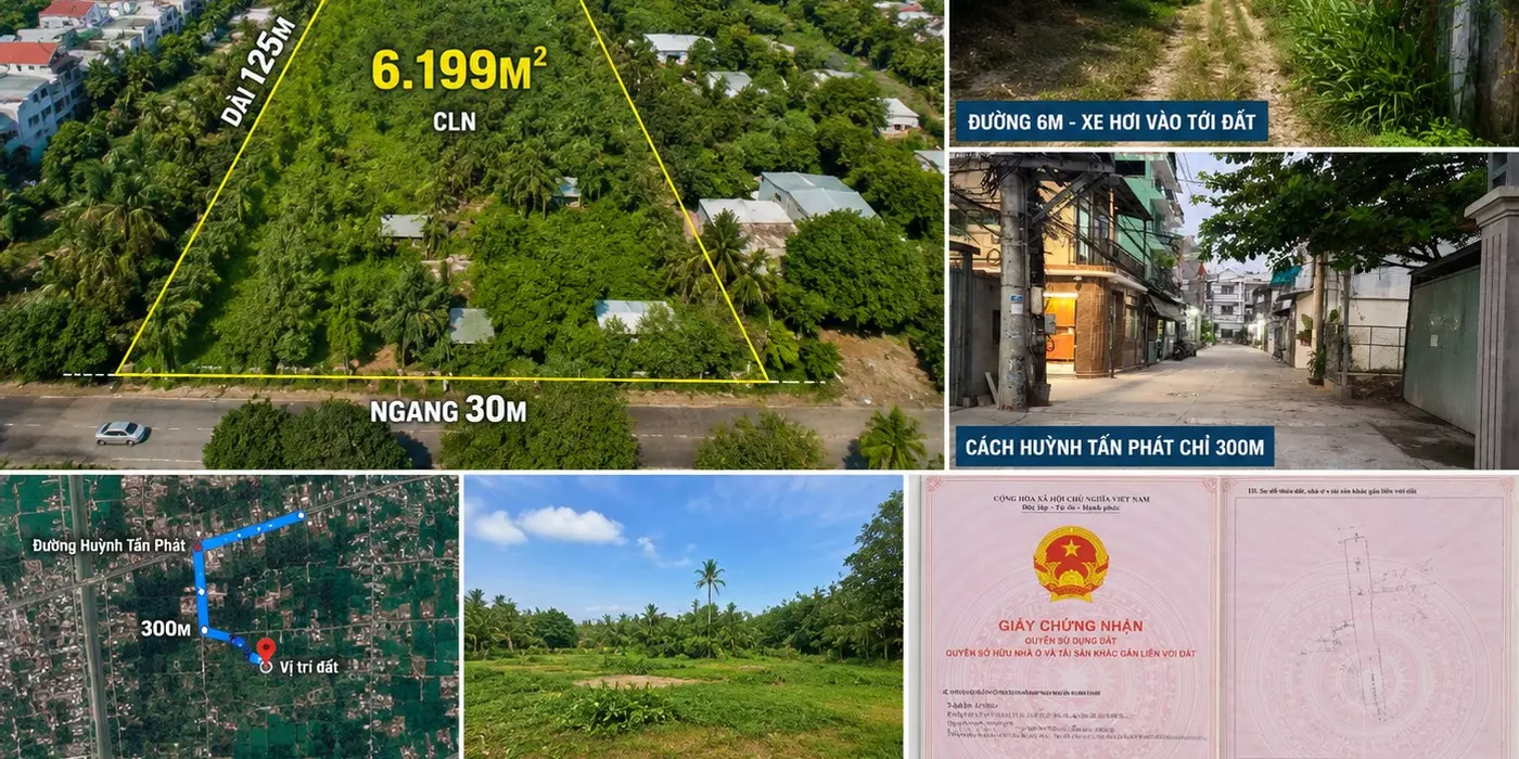 Đất 6.199m² Nhà Bè, tương lai mặt tiền đường mới, giá 60 tỷ
