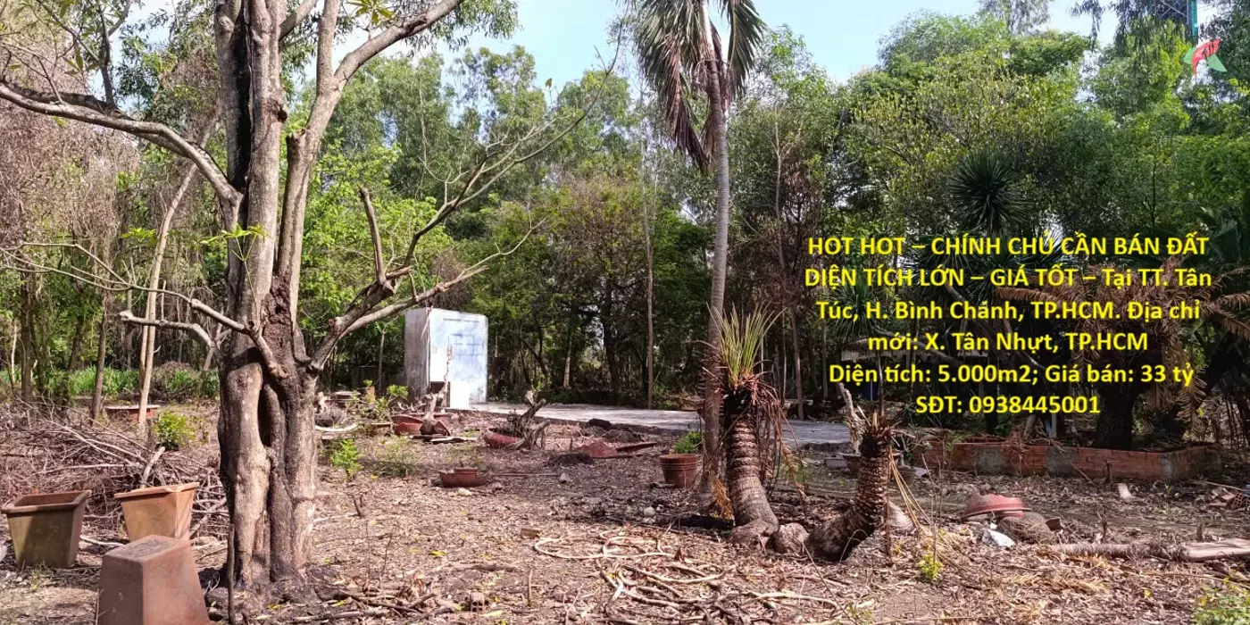 HOT HOT – CHÍNH CHỦ CẦN BÁN ĐẤT DIỆN TÍCH LỚN – GIÁ TỐT – Tại TT. Tân Túc, H. Bình Chánh, TP.HCM