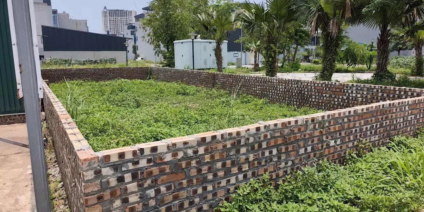 HOÀI ĐỨC, NHIỀU NGƯỜI TÌM VÂN CANH – NHƯNG KHÔNG PHẢI LÔ NÀO CŨNG ĐỨNG MẶT PHỐ