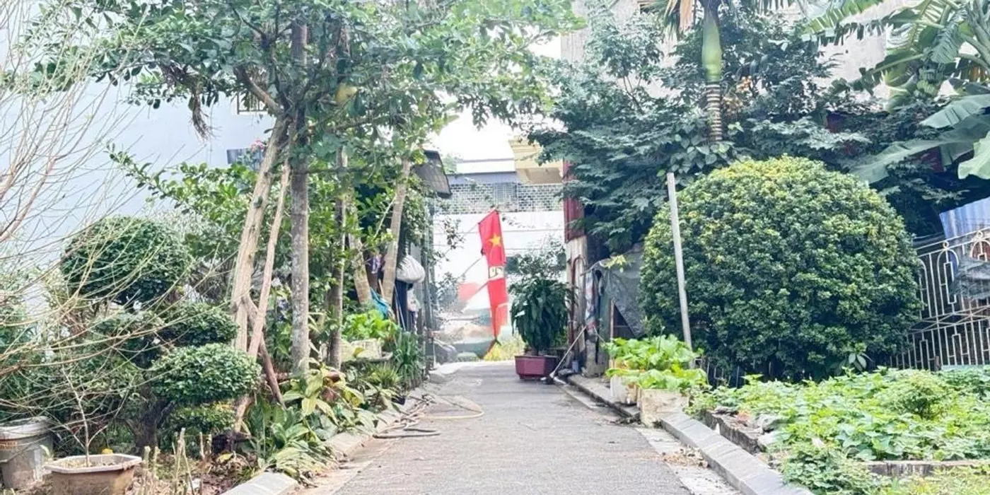 80M2 ĐẤT MAI LÂM( ĐÔNG ANH) - 5.2 TỶ
