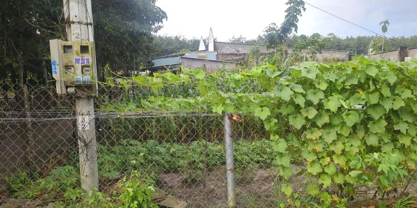 Bán Đất Chính Chủ Phường Bến Cát, TP. Hồ Chí Minh – Sổ Hồng Riêng, Giá Tốt, Mua Bán Nhanh.
