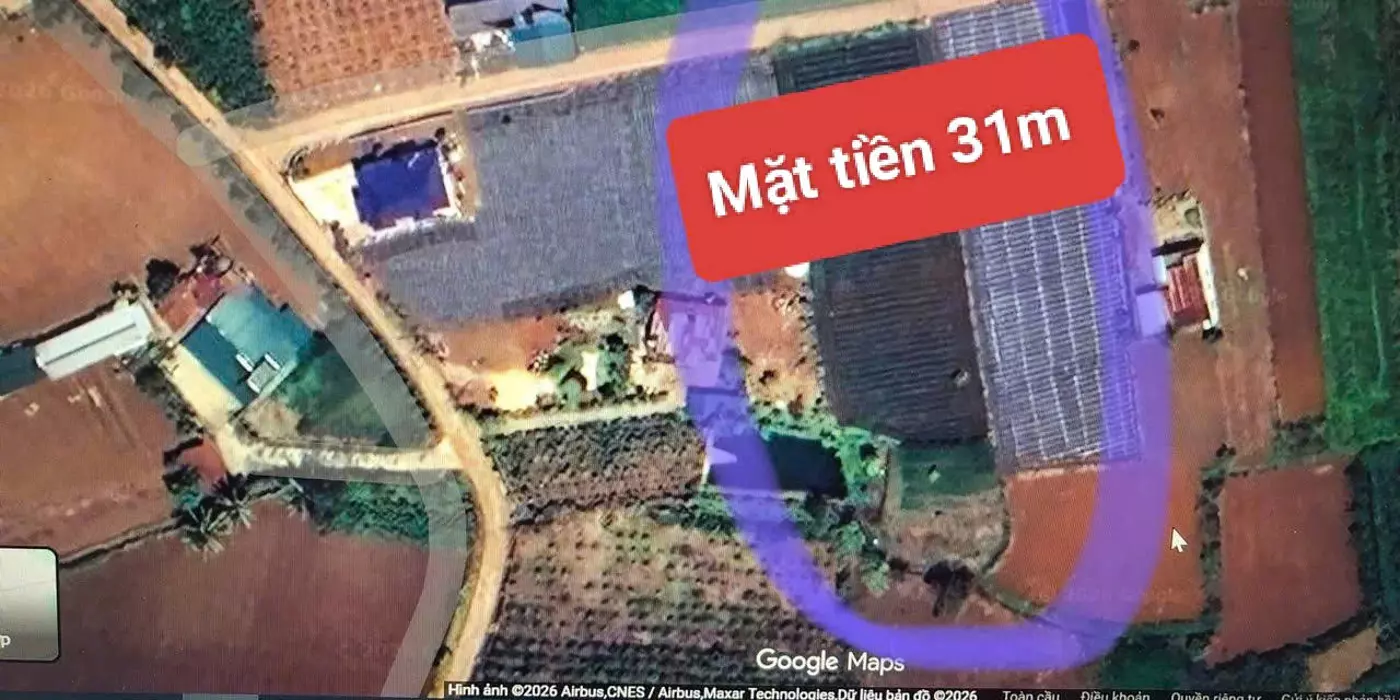 Bán 3120m2 đất xã Tân Hội Đức Trọng Lâm Đồng 4,2 tỷ