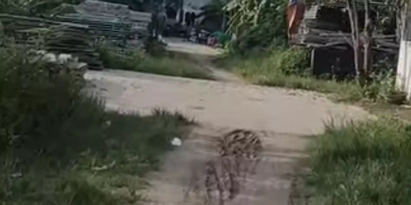 Bán đất 75m2 Tại Đông Hà Bắc Sơn An Dương Hải Phòng