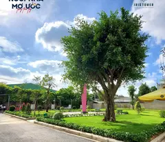 Căn hộ Iris Tower 2PN2WC giá CĐT, thanh toán 20% nhận nhà mới ở ngay