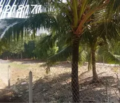 Bán Đất Chính Chủ 500m2

Xã An Sơn, Thuận An, Bình Dương 

Diện tích 15.4X28m Thổ cư 100m2