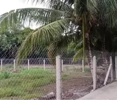 Bán Đất Chính Chủ 500m2

Xã An Sơn, Thuận An, Bình Dương 

Diện tích 15.4X28m Thổ cư 100m2