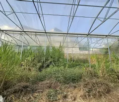 Cơ hội sở hữu đất đẹp 65m², Phường 5, Đà Lạt - Giá chỉ 1,5 tỷ