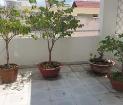 _______ Lê Văn Sỹ Phường 14 Quận 3. _____