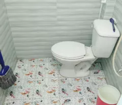 Bán nhà riêng 450 triệu, hcm, Bình Chánh - chính chủ