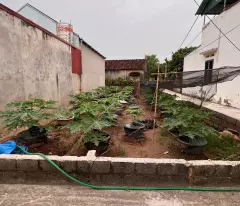 Bán đât lô góc 102m mặt tiền 6m đường oto tránh