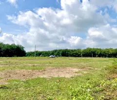 Bể Nợ Tui Bán 4 Sổ (20x40)=800m2, Đường Nhựa 18m, Dân Đông, Tiện Ích Đầy Đủ, View Hồ Mát Rượi
