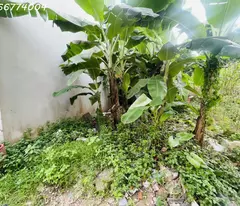 EM cần bán 38m2 ở Yên Nghĩa, Hà Đông