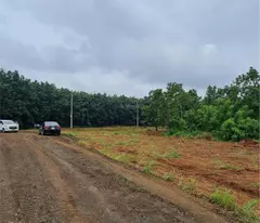 Bể Nợ Bán Lỗ Miếng Đất Mặt Tiền Nhựa TP. Đồng Xoài diện tích 1000m2 giá 480triệu