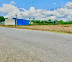 Bể Nợ Bán Lỗ 4 sổ (20x80)1600m2, Mặt Tiền Đường, Dân Đông, Đối Diện Xí Nghiệp 560tr/sổ