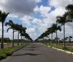 Bán gấp lô đất gần Cầu Vượt Củ Chi KDC Daresco đường DT824 đối diện KCN Đức Hòa 3