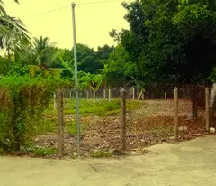Mặt tiền An Sơn 32, 500m² thổ cư 100m².
Đường xe tải ra vào, vị trí đông dân cư,