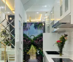 TÂN BINH - NHÀ ĐẸP - 23M2 - 2 TẦNG - HẺM BAGAC - CÁCH 1 CĂN RA HXT - NHỈNH 3TY
