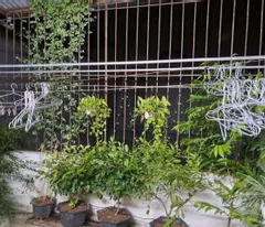 Siêu hot! Nhà đẹp Hoàng Hoa Thám mà chỉ 5.x tỷ!