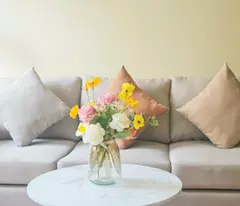 BÁN MẶT TIỀN ĐƯỜNG QUÁCH ĐIÊU – DÒNG TIỀN SINH LỜI 25 TRIỆU/ THÁNG – GIÁ 7,1 tỷ